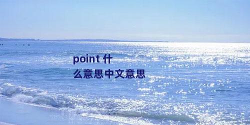 point 什么意思中文意思